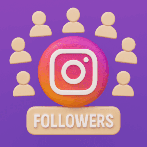 INSTA NON-DROP FOLLOWERS